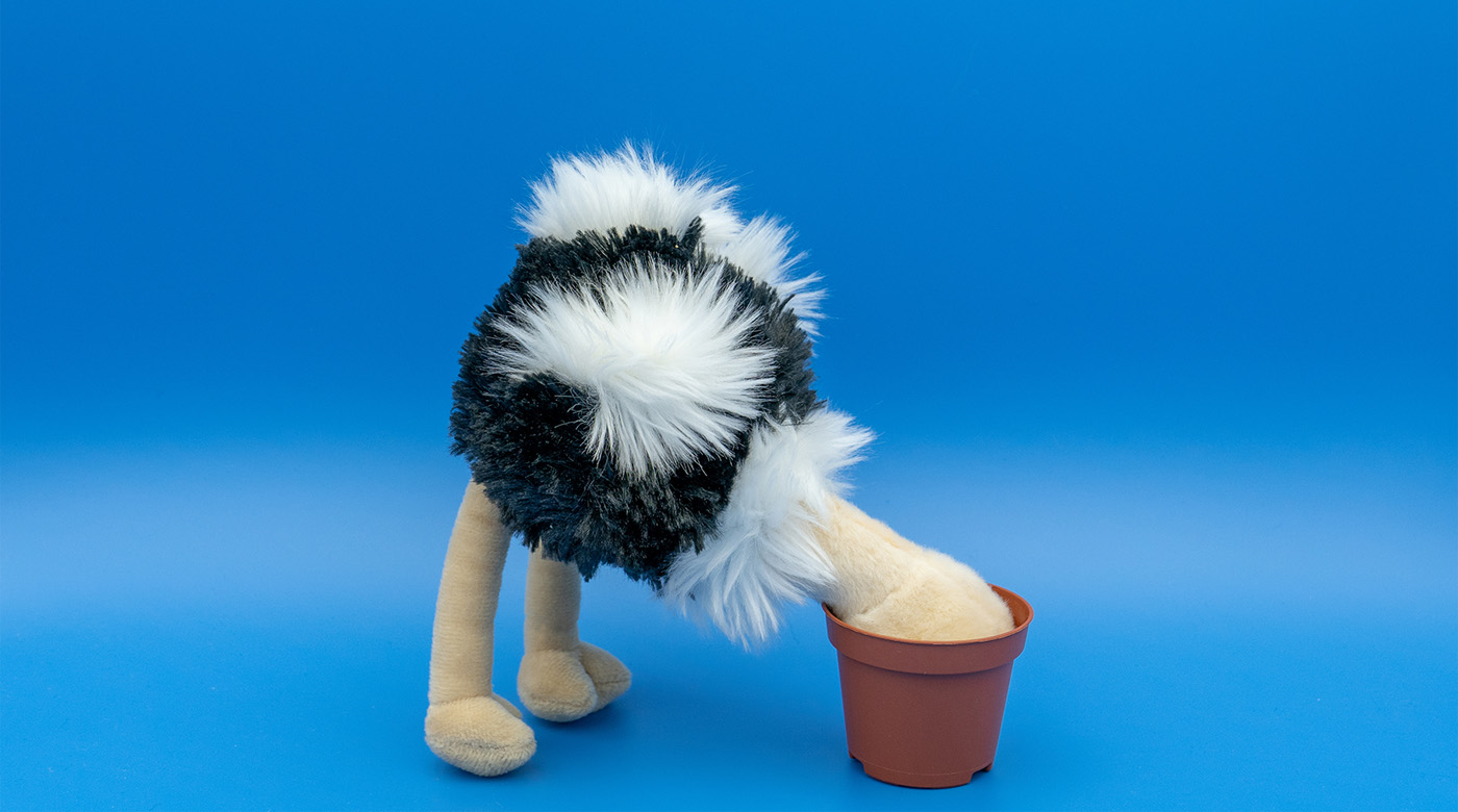 Putting your head in the sand